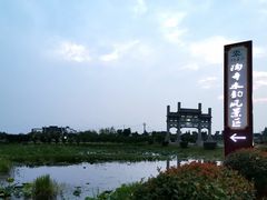 -陶辛水韵