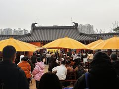 -江心屿景区