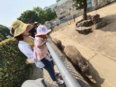 -无锡动物园·太湖欢乐园
