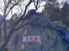 -阳台山自然风景区