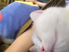 -美联众合24小时·皮肤科·外科·全科诊疗中心(华苑分院)