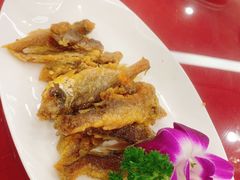 -苏州长江智选假日酒店