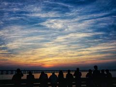 -宝安西湾红树林湿地公园