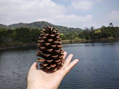 -海南热带雨林国家公园吊罗山景区