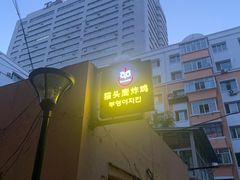 -猫头鹰炸鸡