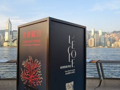 -星光大道