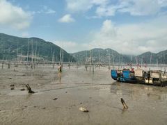 -北岐滩涂