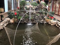 -鹅城