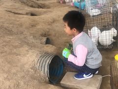 -前小桔亲子创意农场·草莓采摘·露营烧烤