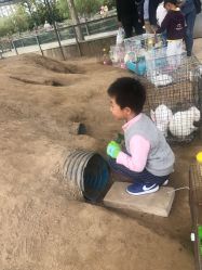 -前小桔亲子创意农场·草莓采摘·露营烧烤