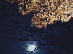 -星巴克臻选(南京金茂览秀城店)