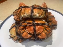 -杨氏青龙虾·羊蝎子(珠江路店)