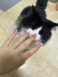 -尤米一站式美甲美睫