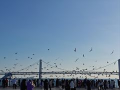 -星海湾跨海大桥