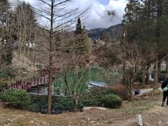 -四明山国家森林公园