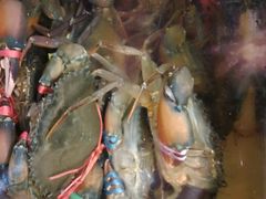 -ZF Seafood Restaurant 卓峰海鲜餐