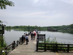 -溱湖国家湿地公园