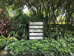 -晓港公园