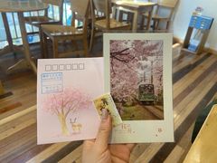 -猫的天空之城概念书店(苏州平江店)