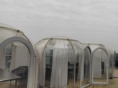 -顽啤熊·酒客酒馆(苏城夜景必选店)