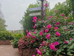 -东湖177艺术餐厅·东坡院子