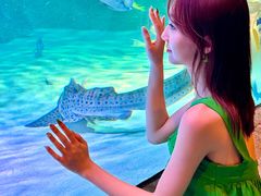 -沈阳海洋探索中心