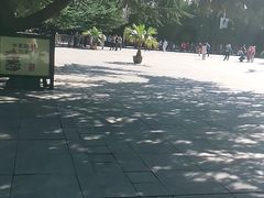 -西柏坡红色胜典景区