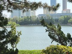 -南山公园