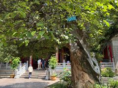 -盘龙寺