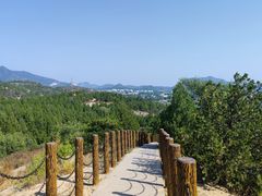 -白水寺森林公园