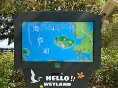 -海珠湖公园