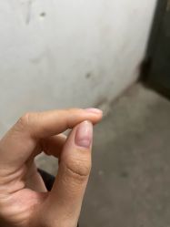 -NIMO NAIL 美甲美睫