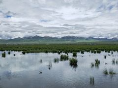 -花湖生态旅游区