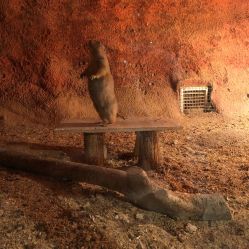 -酷嗒动物文化乐园(cutezoo西溪乐天城店)