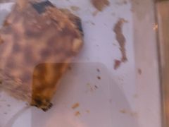 -墨茉点心局(梅溪湖新天地一店)