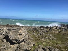 -龙坑生态保护区