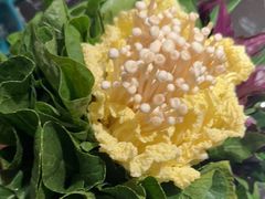 -蒋记海鲜姿造•洋房别墅(星河湾店)