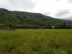 -瑞穗牧场