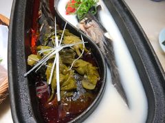 退秋鱼（一条）-锦府盐帮·李宅(领展购物广场中关村店)