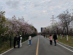 -广东花都湖国家湿地公园