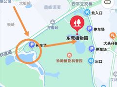 -东莞植物园
