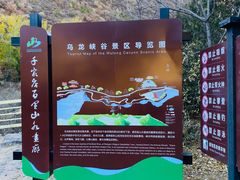 -百里山水画廊乌龙峡谷