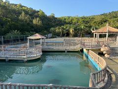 -广东惠东海龟国家级自然保护区
