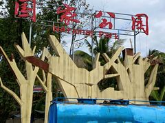 -海南热带雨林国家公园吊罗山景区