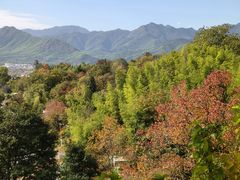 -塔川景区