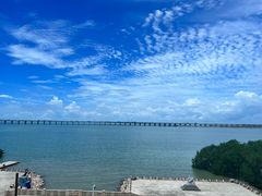 -宝安西湾红树林湿地公园