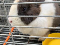 -前小桔亲子创意农场·草莓采摘·露营烧烤