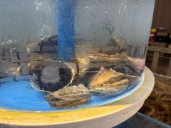-黑木原精致料理·铁板烧