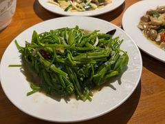 -翕庐小苑