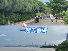 -深圳湾公园(南山区)